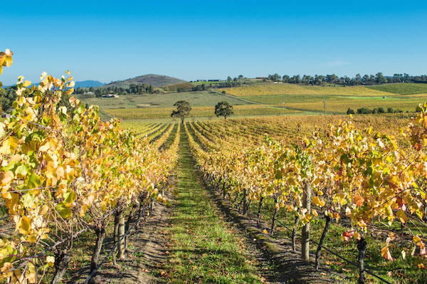De Bortoli Yarra Valley