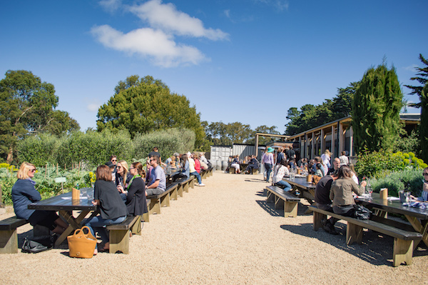 T'Gallant Winery Mornington Peninsula Day Trip from Melbourne