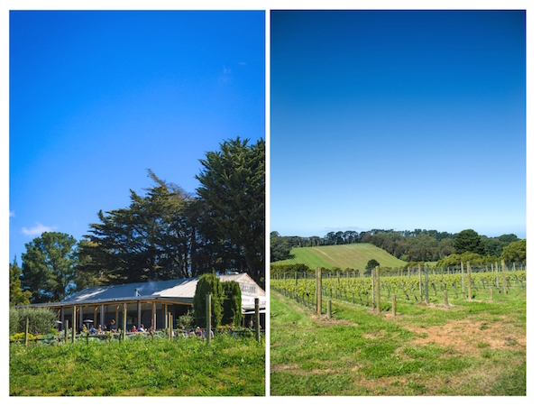 T'Gallant Winery Mornington Peninsula