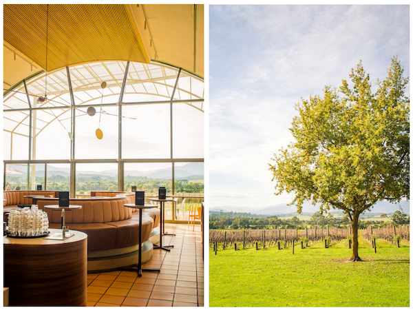 domaine chandon winery in the yarra valley victoria 