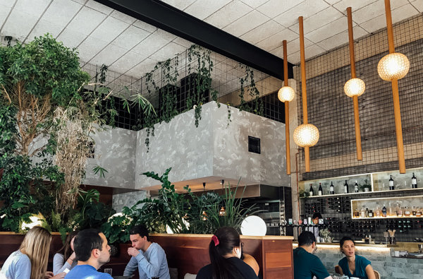 Abacus Cafe on Chapel Street in South Yarra