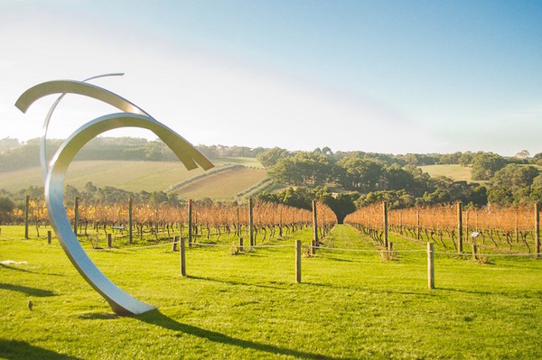Montalto Vineyard Sculpture Trail Mornington Peninsula
