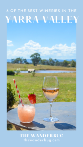 Best Wineries in the Yarra Valley