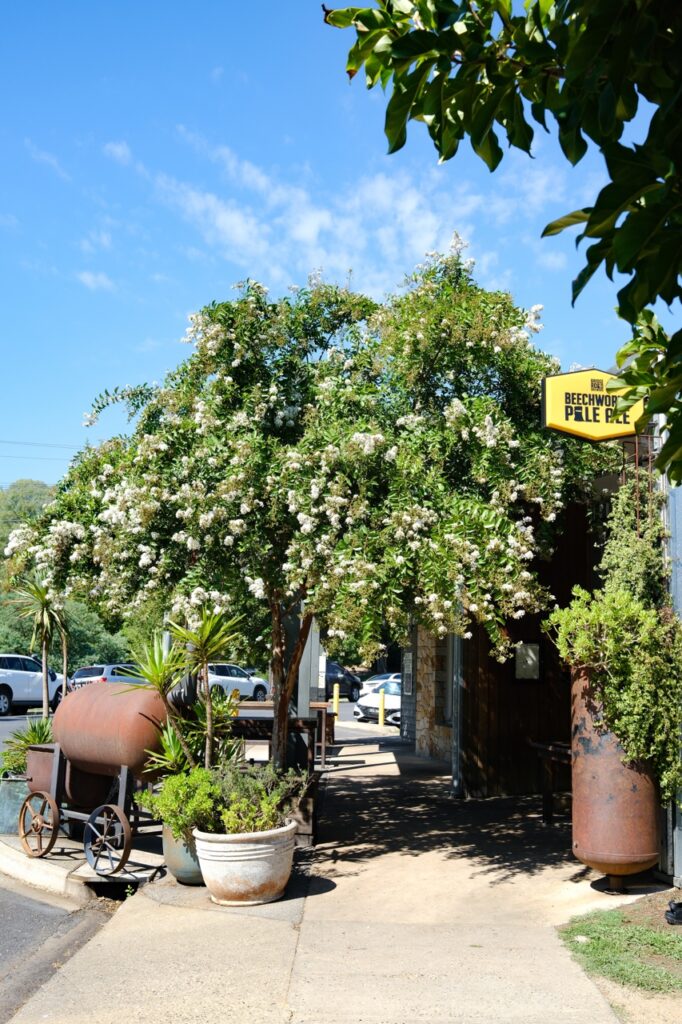 restaurants & bars in bright, victoria