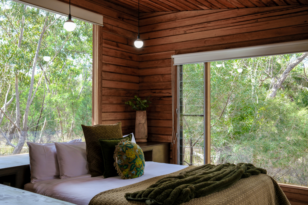 King bed at DULC Cabins, with large windows looking into bushland