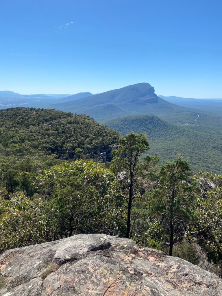 From Mt Sturgeon in Dunkeld