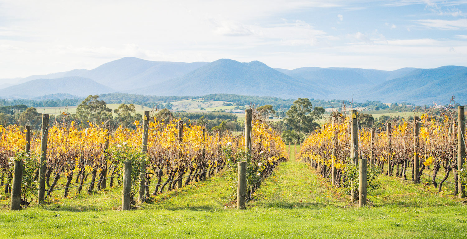 wineries in the yarra valley