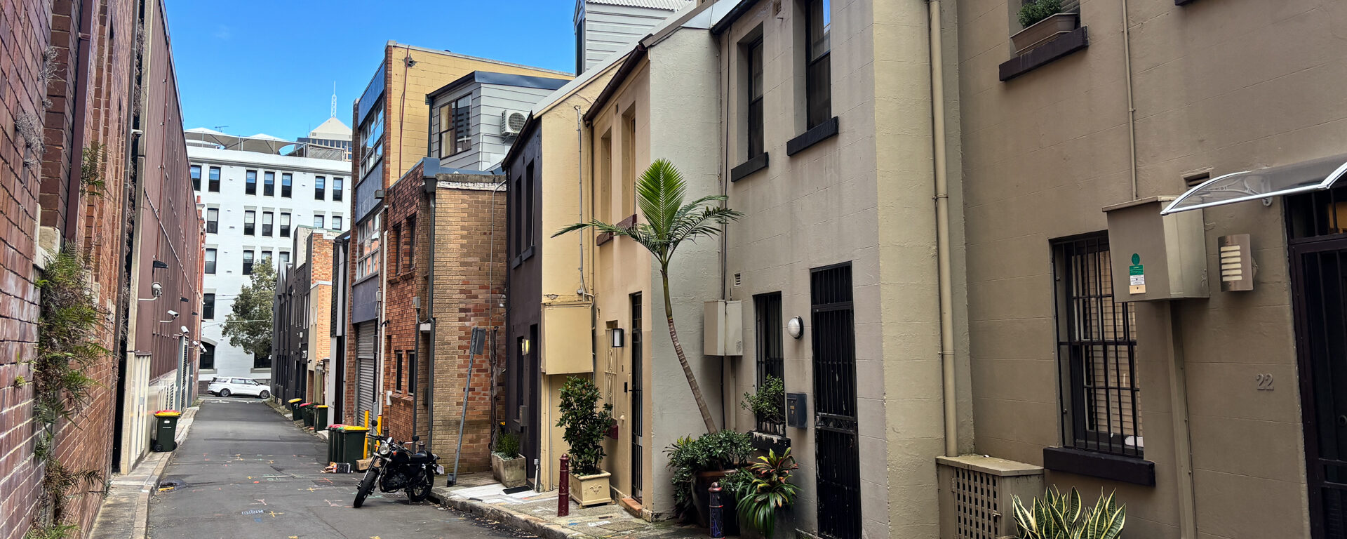 surry hills guide sydney